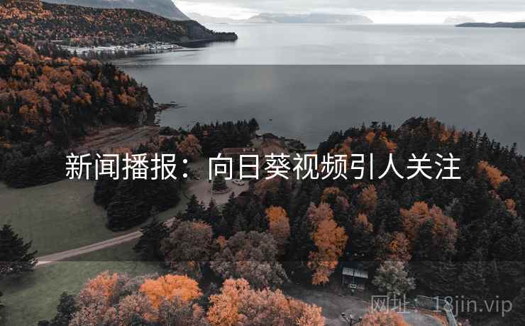 新闻播报：向日葵视频引人关注